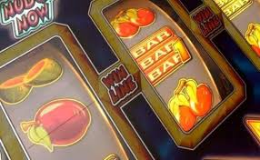 Kaktuz Casino